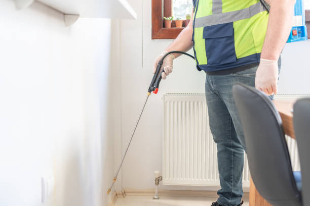 Best Local Pest Control Services  in Flagtown, NJ