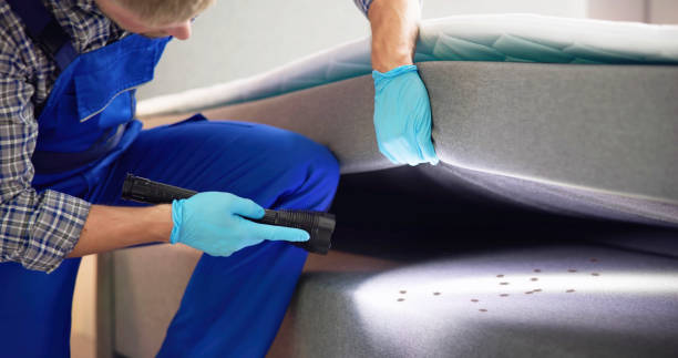 Pest Prevention Services in Flagtown, NJ